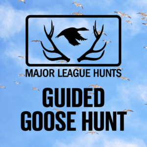 Guided Goose Hunt