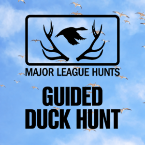 Guided Duck Hunt